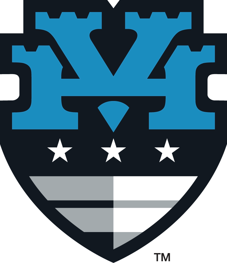 Hudson Valley Fort 2015-Pres Partial Logo DTF transfer for t shirt